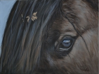 Early Morning Reflection