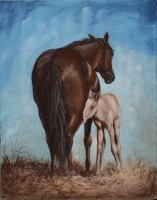 Newborn