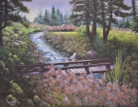 Wildstone Cranbrook BC