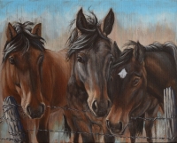 Three Curious Friends