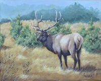 crowned-glory-scaled