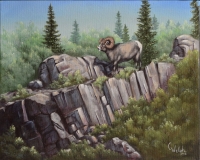 Rocky Ledge