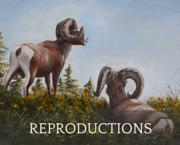 Reproductions